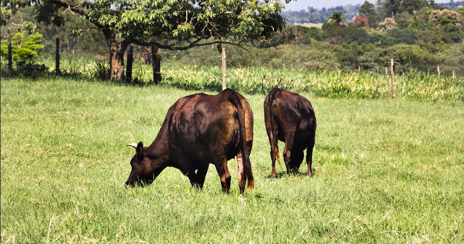 Foto de capa de Rancho Santa Barbara